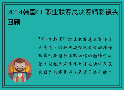 2014韩国CF职业联赛总决赛精彩镜头回顾