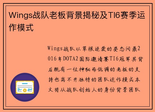 Wings战队老板背景揭秘及TI6赛季运作模式